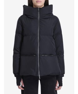 Laminar Gore-Tex down jacket