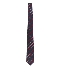 Cravatta in seta